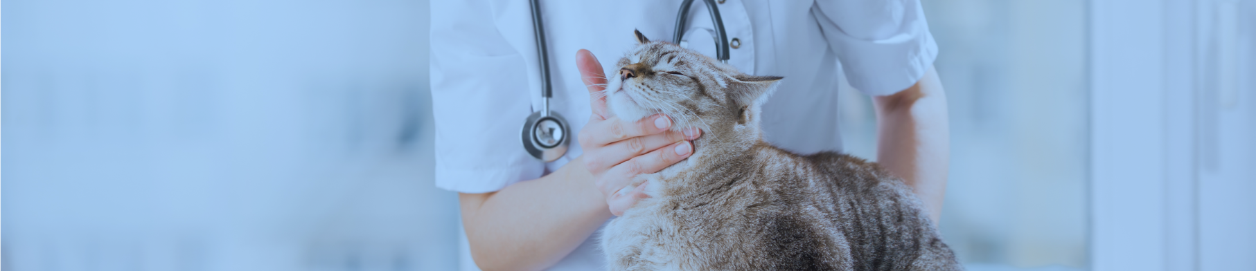 Social Vet