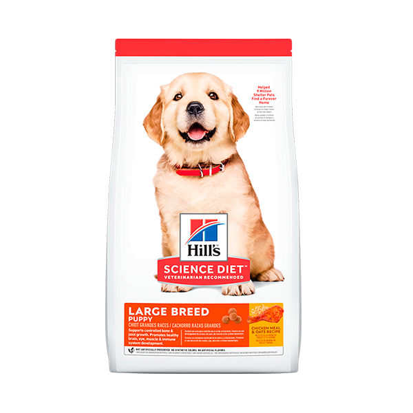 Hills Science Diet Puppy Large Breed