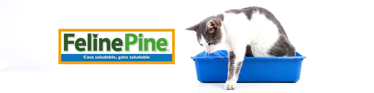 Feline Pine