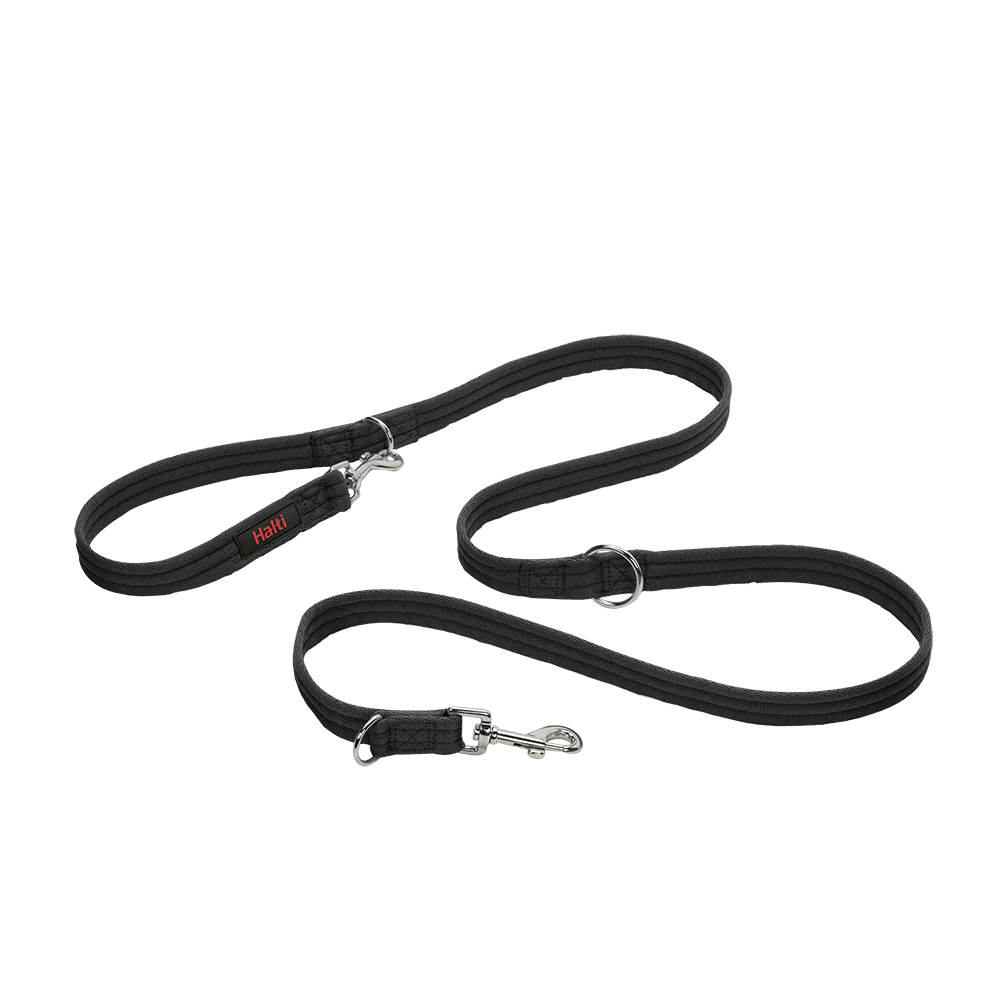 Halti Training Lead