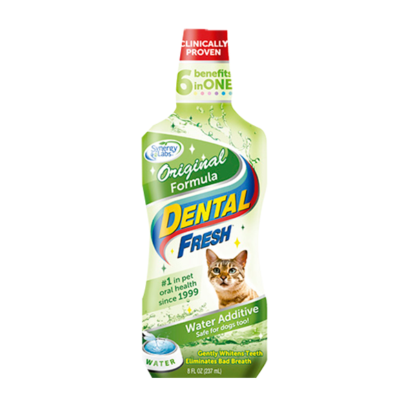 Dental Fresh Gatos