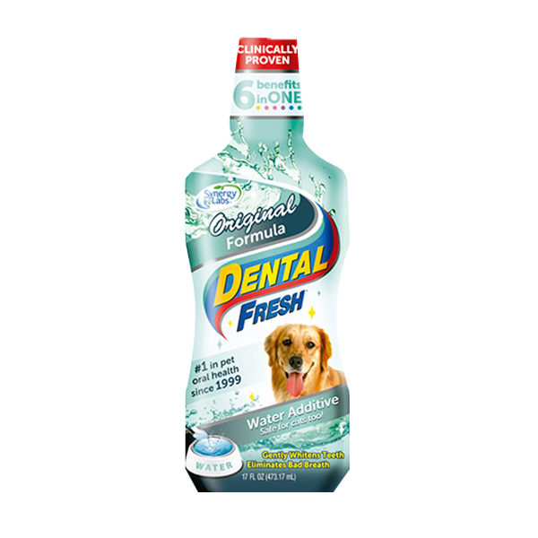 Dental Fresh