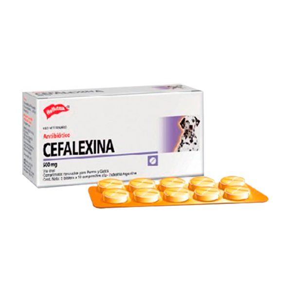 Cefalexina 500 Comprimidos
