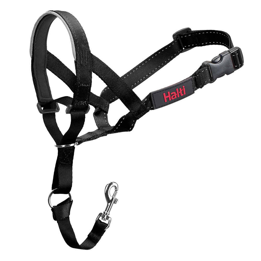 Halti Headcollar