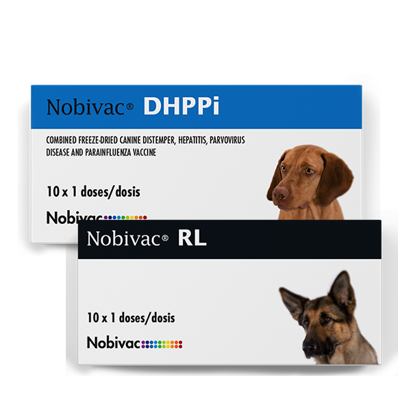 Nobivac DHPPI +RL (Séxtuple) ( DHPPI + RL )
