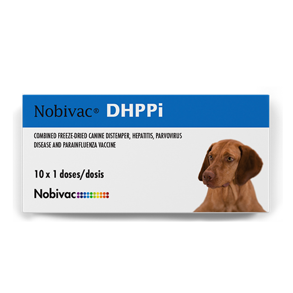 Nobivac DHPPI (Cuádruple)