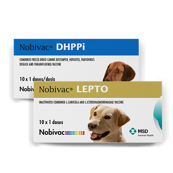 Nobivac DHPPI  + L (Quíntuple) ( DHPPI + Lepto)