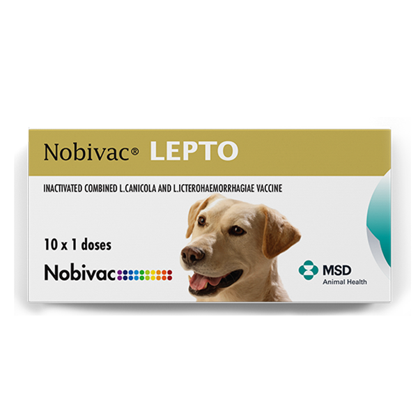 Nobivac Lepto