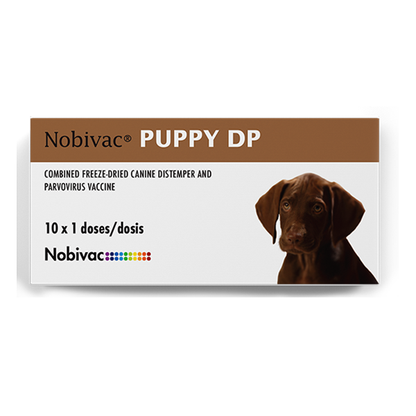 Nobivac Puppy DP
