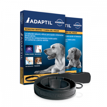 Adaptil Collar