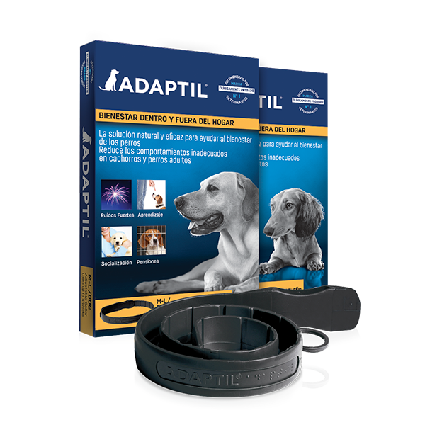 Adaptil Collar