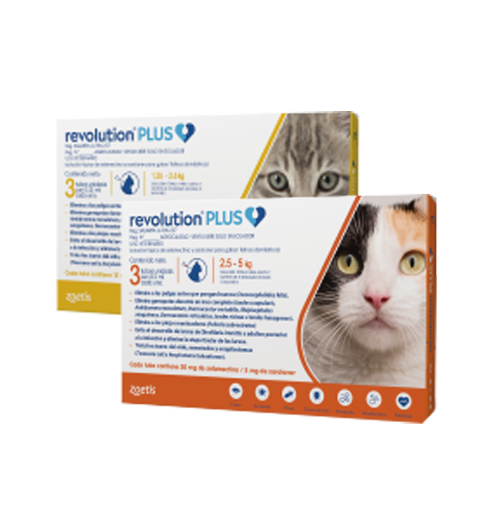 Revolution ® PLUS Gatos