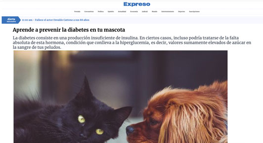 Aprende a prevenir la diabetes en tu mascota