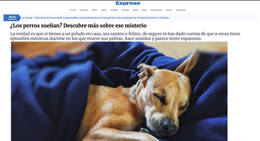 Descubre más sobre ese misterio del sueño en perros