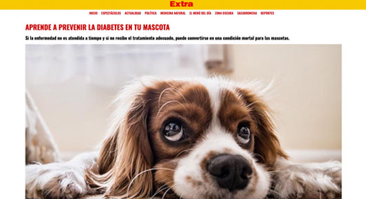 Aprende a prevenir la diabetes en mascotas