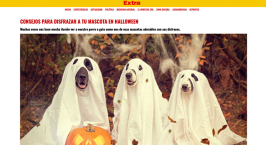 Consejos para disfrazar a tu mascota en Halloween