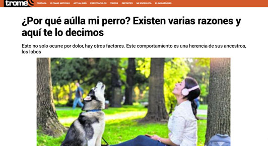 ¿Por qué aullan los perros?