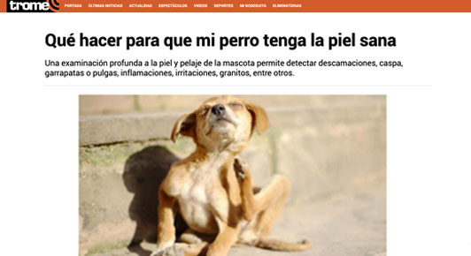 ¿Cómo garantizar que mi perro tenga la piel sana?