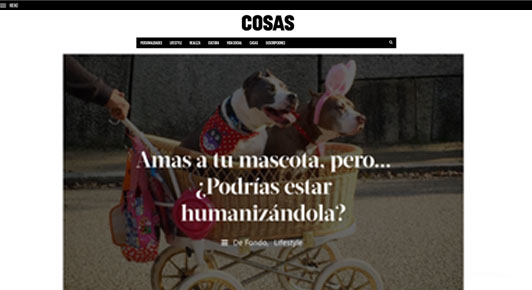 Amas a tu mascota, pero... ¿Podrías estar humanizándola?