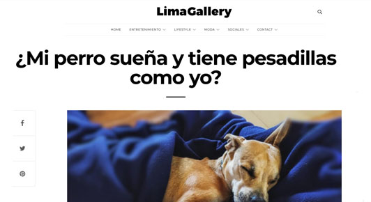 ¿Mi perro sueña y tiene pesadillas como yo?