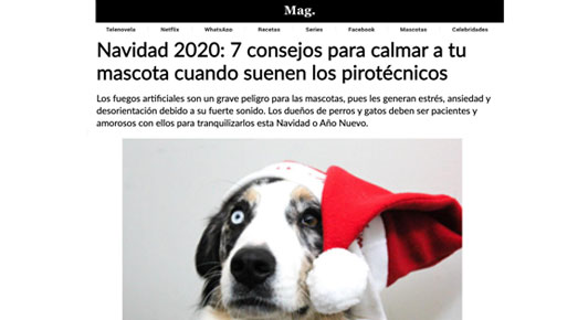 Noche buena y las mascotas