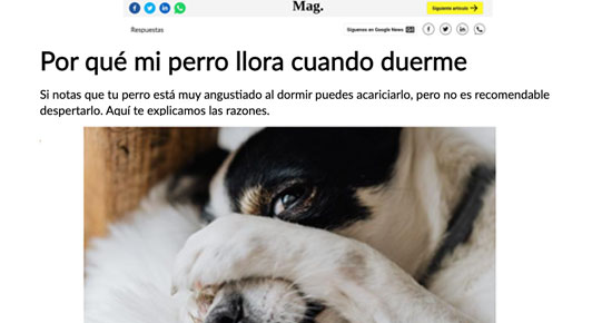 ¿Por qué mi perro llora mientras duerme?