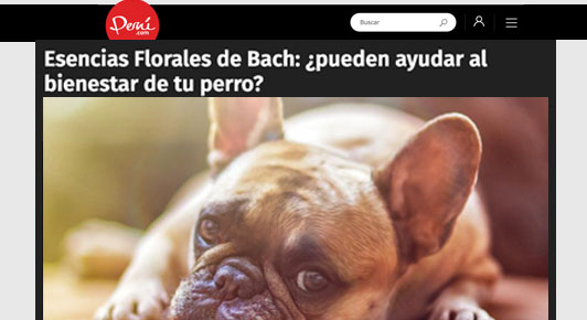 Esencias Florales de Bach: ¿pueden ayudar al bienestar de tu perro?