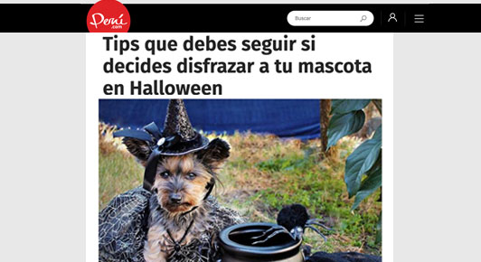 Tips que debes seguir si decides disfrazar a tu mascota en Halloween