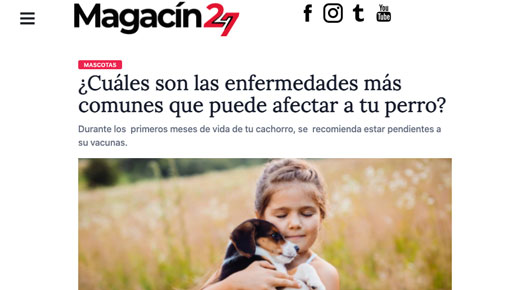 ¿Cuáles son las enfermedades más comunes en los perritos?