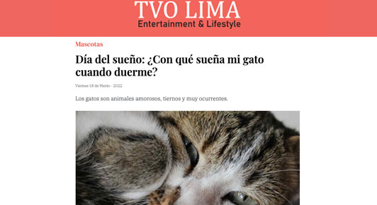 Día del sueño: ¿Con qué sueña mi gato mientras duerme?