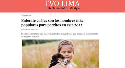 Entérate cuáles son los nombres más populares para perritos en este 2022 