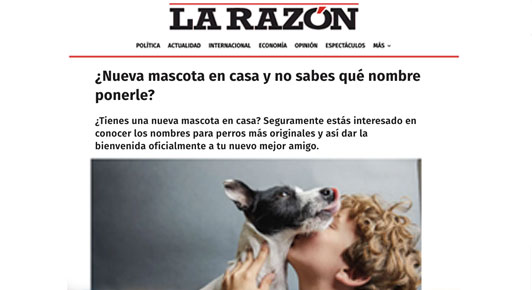 ¿Nueva mascota en casa y no sabes qué nombre ponerle?