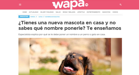 ¿Tienes una nueva mascota en casa y no sabes qué nombre ponerle? Te enseñamos