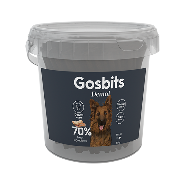 Gosbits Dental Maxi 2017