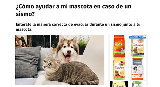 ¿Cómo ayudar a mi mascota en caso de un sismo?