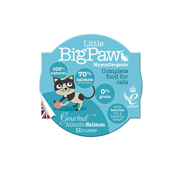 Little Big Paw Gourmet Atlantic Salmon