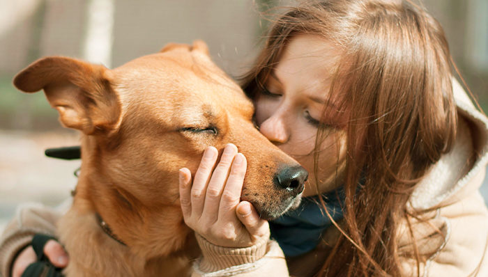 Desparasitación interna en perros: que sus besos solo transmitan amor