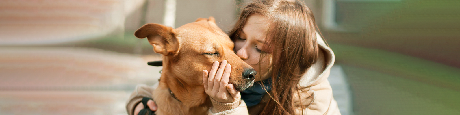 Desparasitación interna en perros